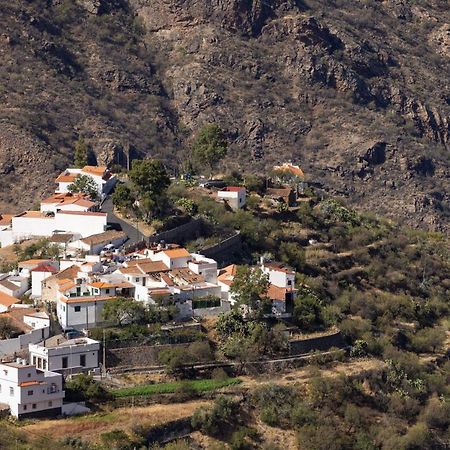 Ferienwohnung Casa Isabela With Roque Nublo View Tejeda  Exterior foto