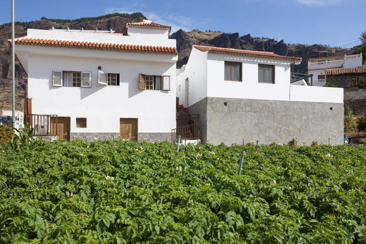 Ferienwohnung Casa Isabela With Roque Nublo View Tejeda  Exterior foto